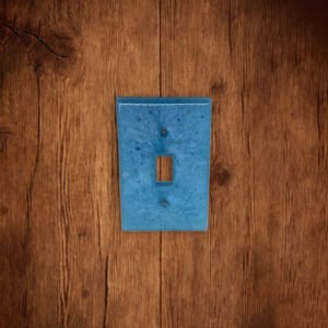 Switch Cover Blue Resin